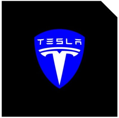 LED Logo Tesla Puddle Lights 2pcs/4pcs for Model 3/Y/S/X - Tesery Official Store