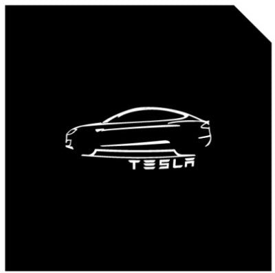 LED Logo Tesla Puddle Lights 2pcs/4pcs for Model 3/Y/S/X - Tesery Official Store