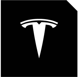 LED Logo Tesla Puddle Lights 2pcs/4pcs for Model 3/Y/S/X - Tesery Official Store