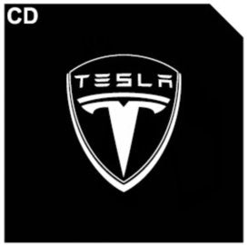 LED Logo Tesla Puddle Lights 2pcs/4pcs for Model 3/Y/S/X - Tesery Official Store